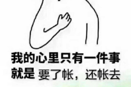 云和企业清欠服务